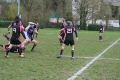 RUGBY CHARTRES 074.JPG